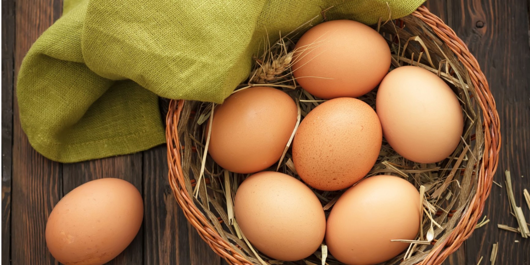 Comprehensive culinary services focused on unique and creative egg-based dishes
